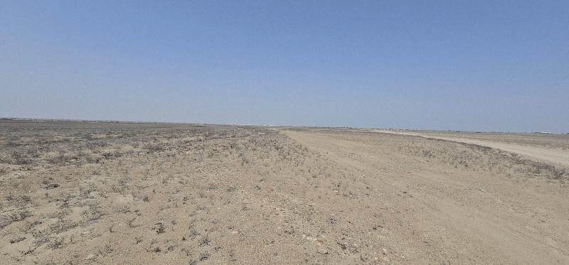 Terreno Agrícola de 140 Has en La Libertad: Inversión Estratégica con Potencial Agroexportador y Riego Chavimochic 3